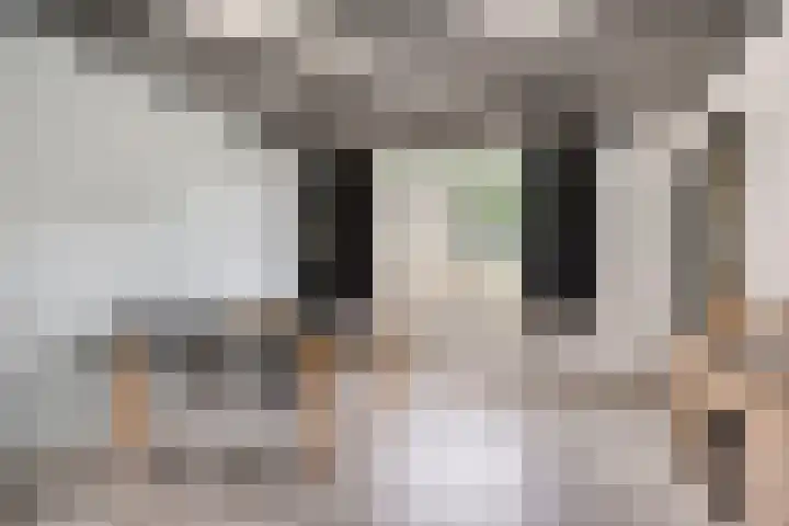 Van der Duyn van Maasdamplantsoen 7 Dordrecht thumbnail 4