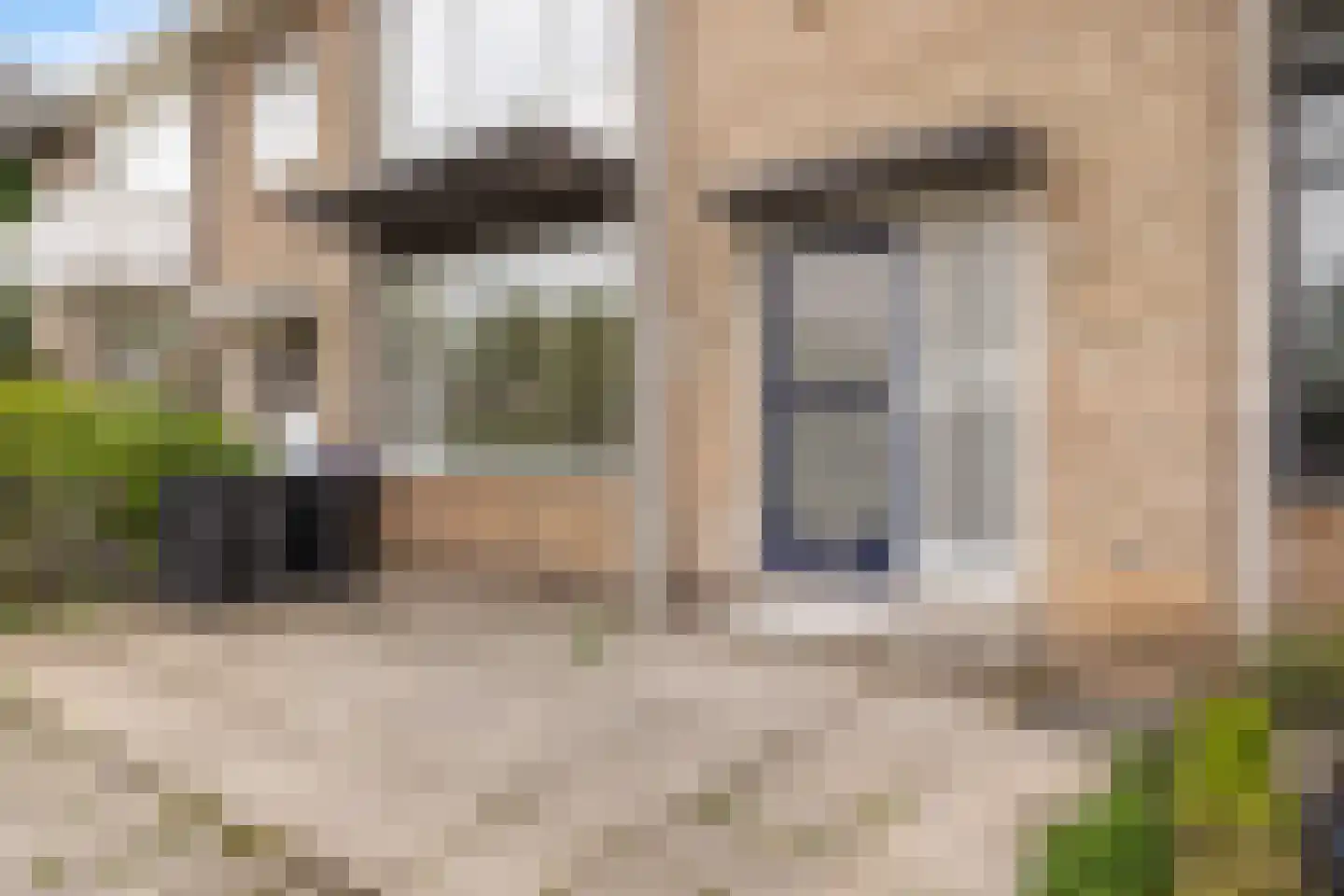 Van der Duyn van Maasdamplantsoen 7 Dordrecht thumbnail 6