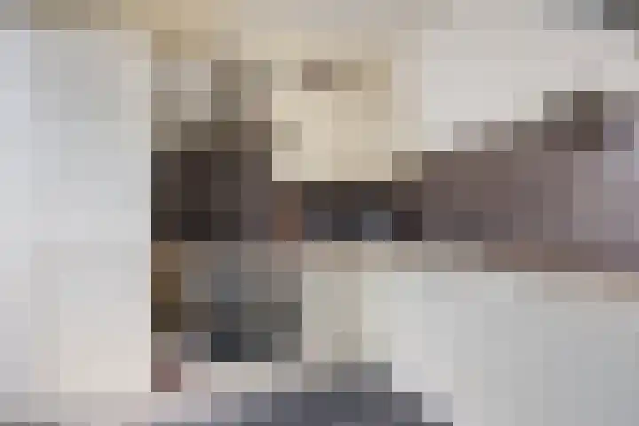 Van der Duyn van Maasdamplantsoen 7 Dordrecht thumbnail 7