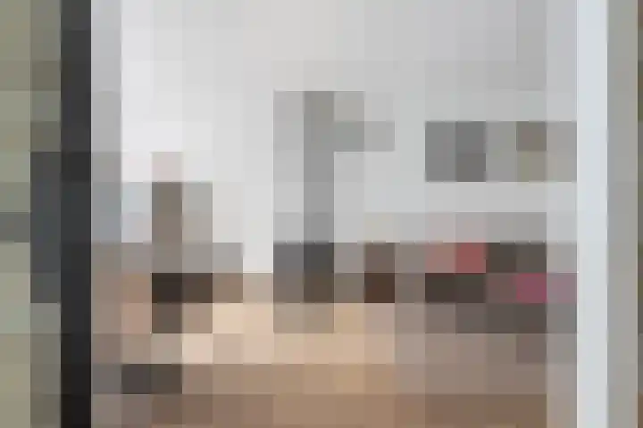 Van der Duyn van Maasdamplantsoen 9 Dordrecht thumbnail 13