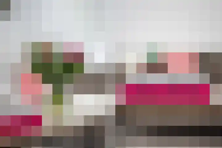 Van der Duyn van Maasdamplantsoen 9 Dordrecht thumbnail 16