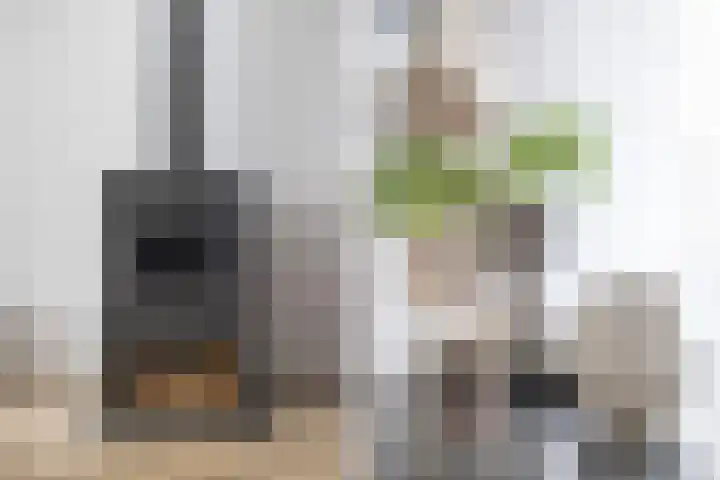 Van der Duyn van Maasdamplantsoen 9 Dordrecht thumbnail 17