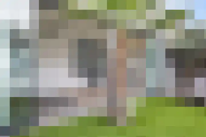 Van der Duyn van Maasdamplantsoen 9 Dordrecht thumbnail 24