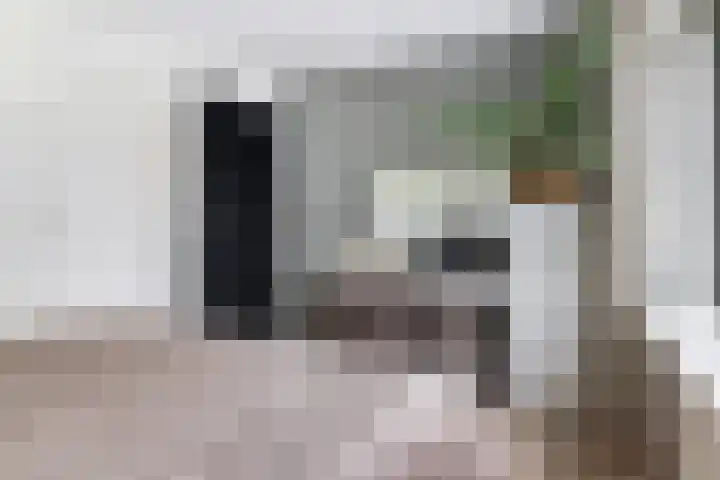 Van der Duyn van Maasdamplantsoen 9 Dordrecht thumbnail 32