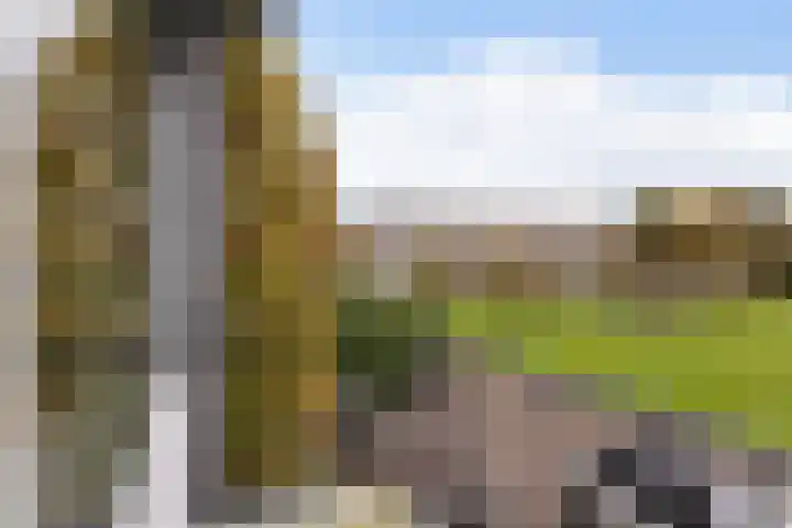 Van der Duyn van Maasdamplantsoen 9 Dordrecht thumbnail 33