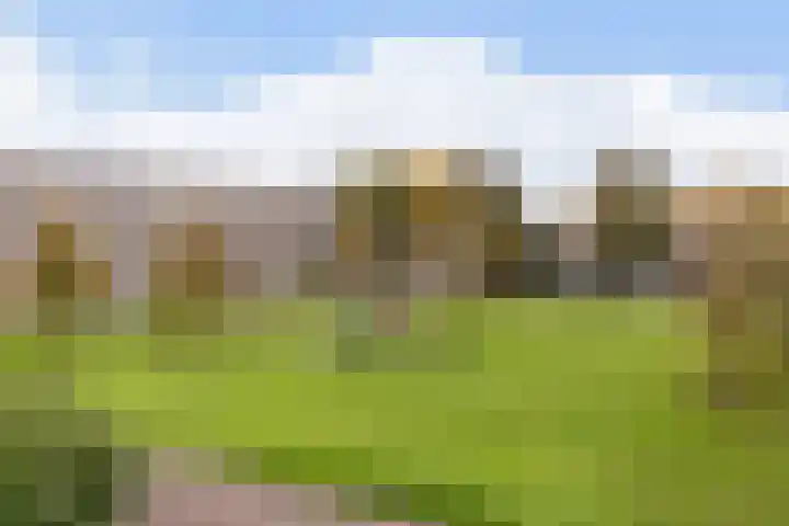 Van der Duyn van Maasdamplantsoen 9 Dordrecht thumbnail 34