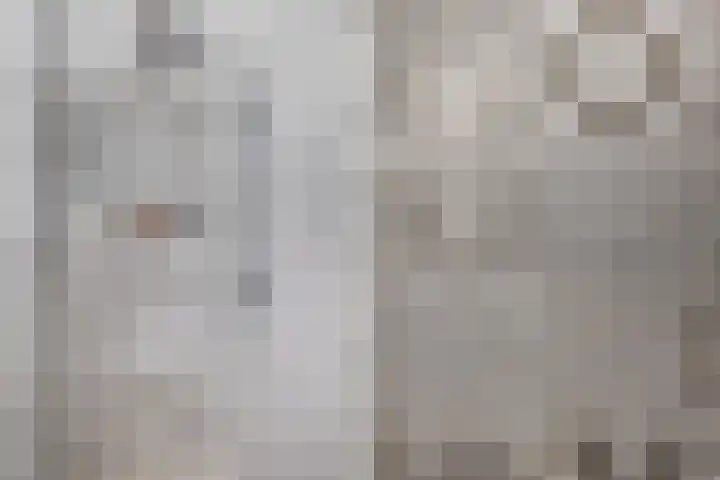 Van der Duyn van Maasdamplantsoen 9 Dordrecht thumbnail 37
