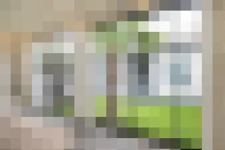 Van der Duyn van Maasdamplantsoen 9 Dordrecht thumbnail 5