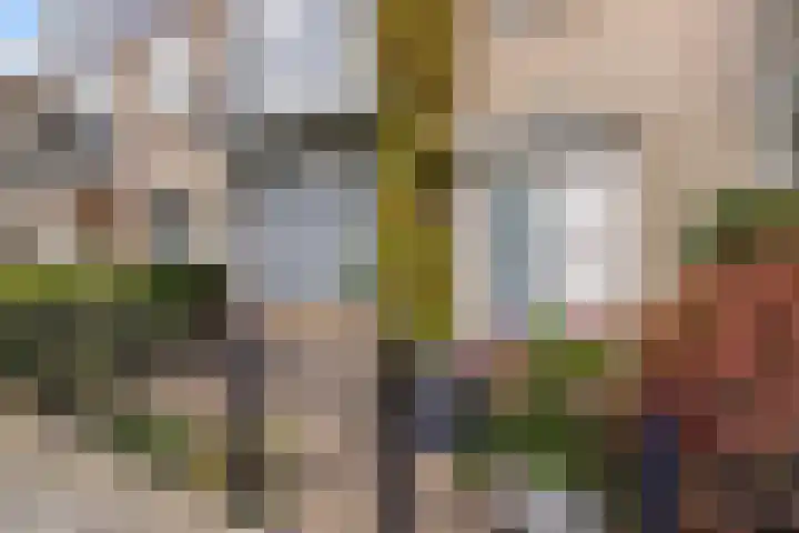 Van der Duyn van Maasdamplantsoen 9 Dordrecht thumbnail 9