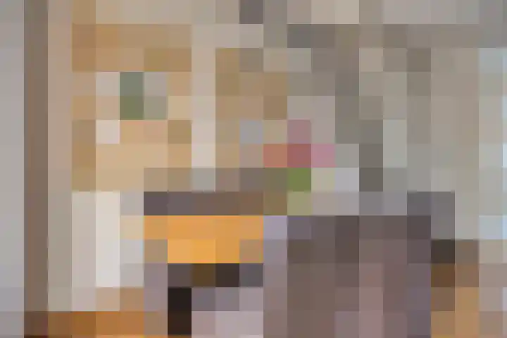Van der Duyn van Maasdamstraat 13 Almkerk thumbnail 11