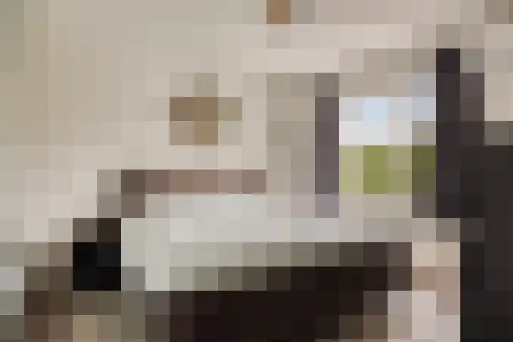 Van der Duyn van Maasdamstraat 13 Almkerk thumbnail 13