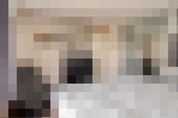 Van der Duyn van Maasdamstraat 13 Almkerk thumbnail 14