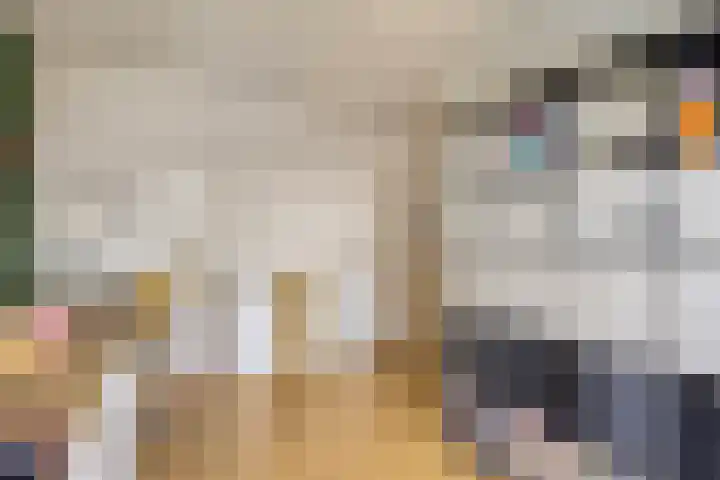 Van der Duyn van Maasdamstraat 13 Almkerk thumbnail 16