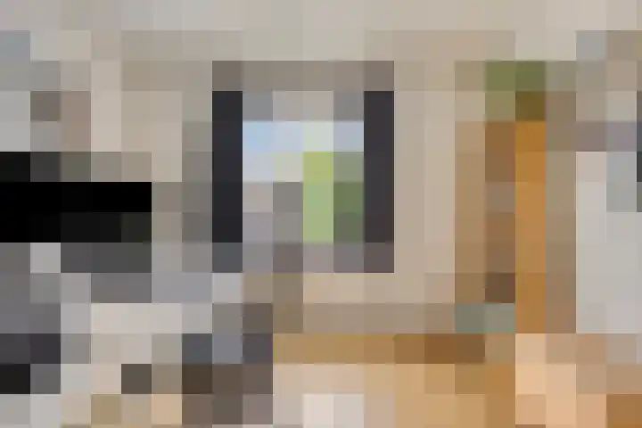 Van der Duyn van Maasdamstraat 13 Almkerk thumbnail 17