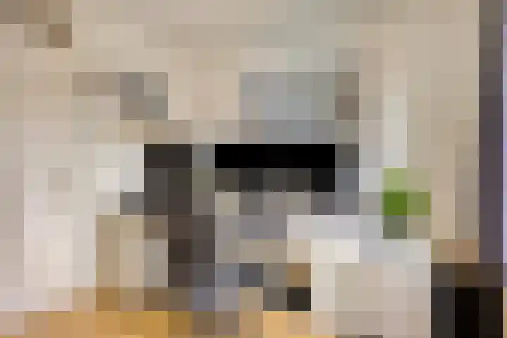 Van der Duyn van Maasdamstraat 13 Almkerk thumbnail 18