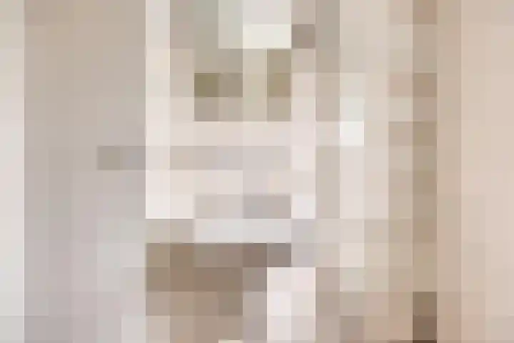 Van der Duyn van Maasdamstraat 13 Almkerk thumbnail 20