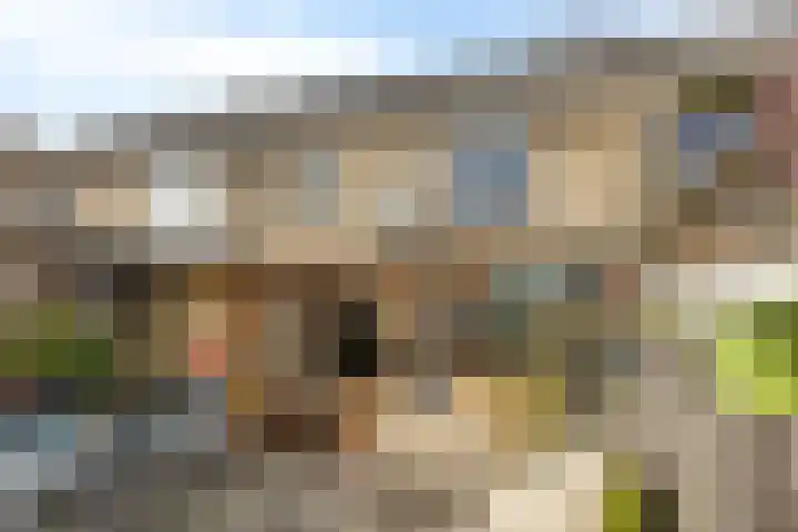Van der Duyn van Maasdamstraat 13 Almkerk thumbnail 25