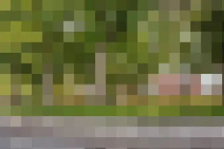 Van der Duyn van Maasdamstraat 13 Almkerk thumbnail 29
