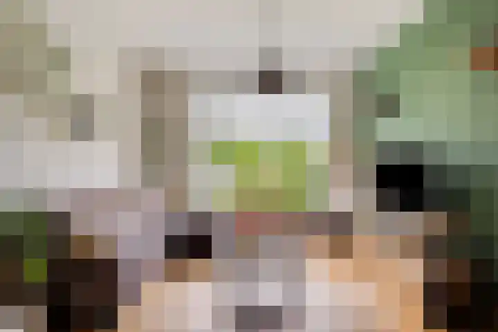 Van der Duyn van Maasdamstraat 13 Almkerk thumbnail 5