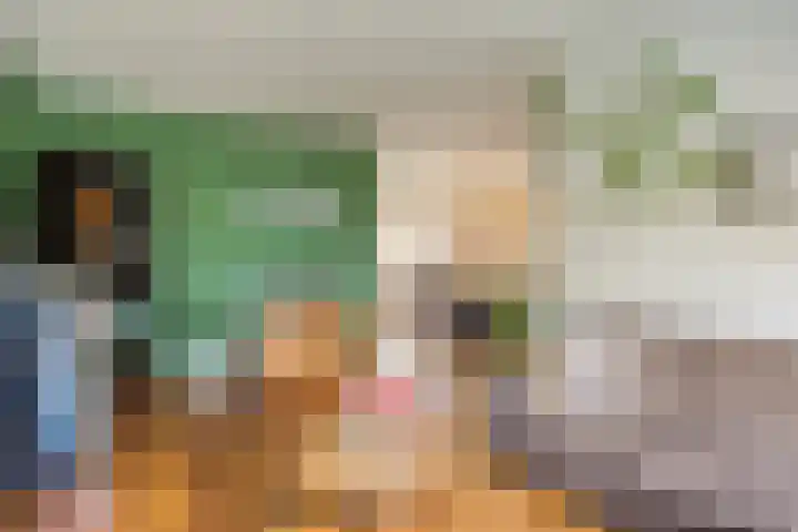 Van der Duyn van Maasdamstraat 13 Almkerk thumbnail 6