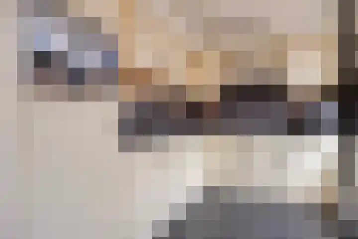 Van der Duyn van Maasdamstraat 13 Almkerk thumbnail 7