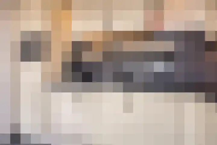 Van der Duyn van Maasdamstraat 13 Almkerk thumbnail 8
