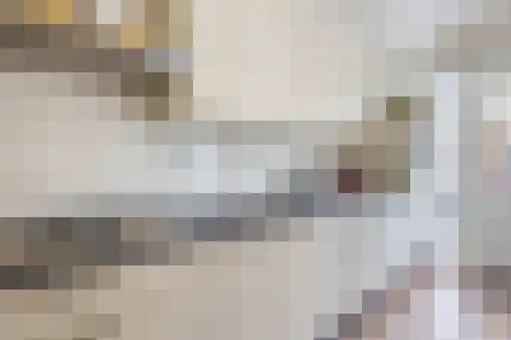 van der Duyn Van Maasdamstraat 16 Veghel thumbnail 11