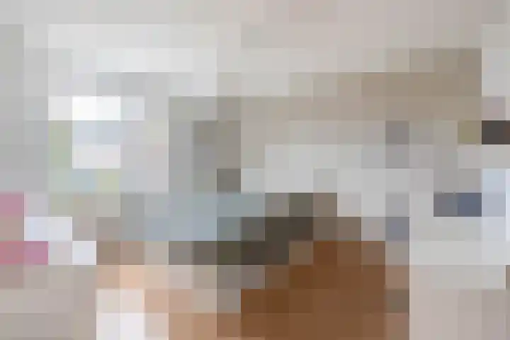 van der Duyn Van Maasdamstraat 16 Veghel thumbnail 18