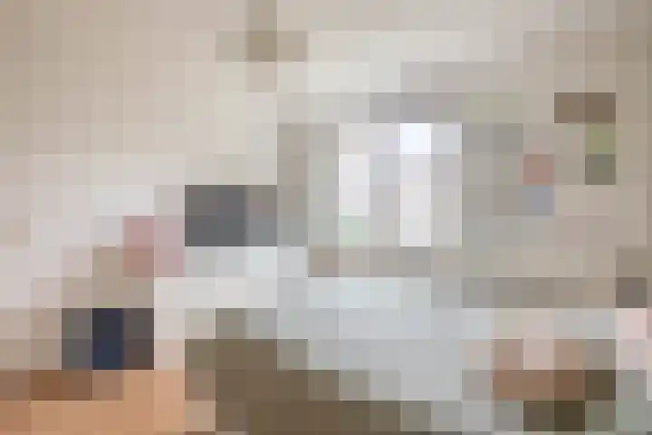 van der Duyn Van Maasdamstraat 16 Veghel thumbnail 19