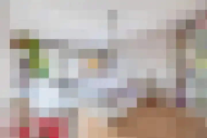 van der Duyn Van Maasdamstraat 16 Veghel thumbnail 20