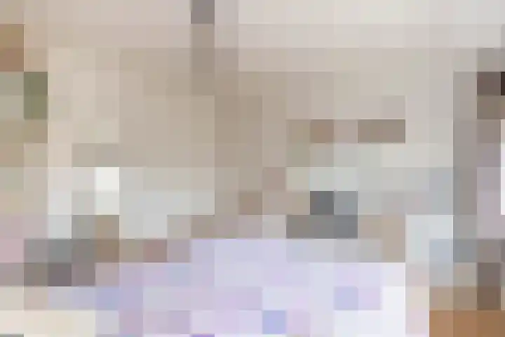 van der Duyn Van Maasdamstraat 16 Veghel thumbnail 21