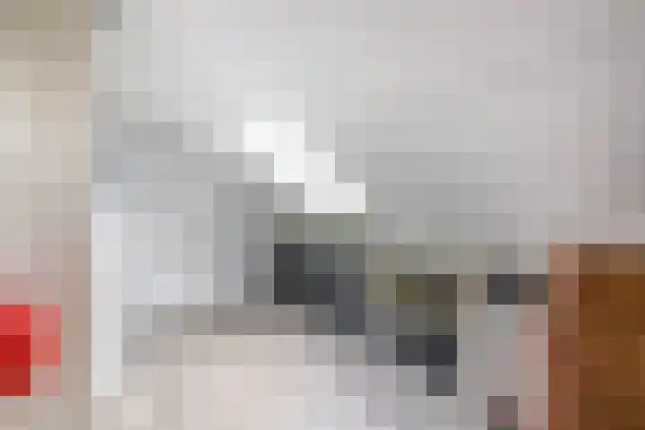 van der Duyn Van Maasdamstraat 16 Veghel thumbnail 23