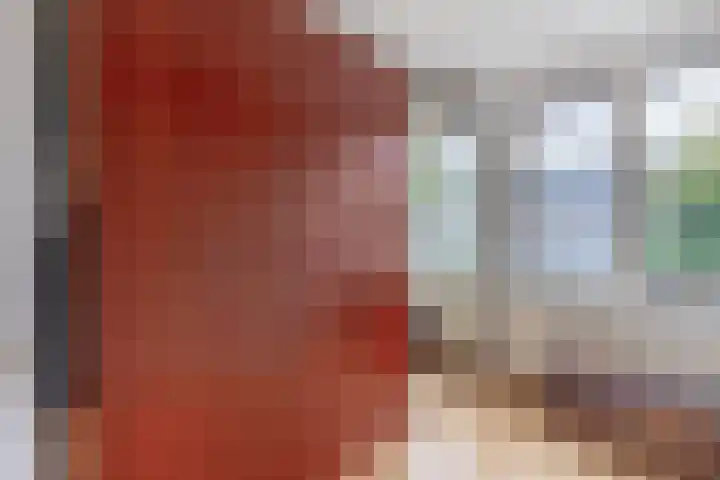 van der Duyn Van Maasdamstraat 16 Veghel thumbnail 24