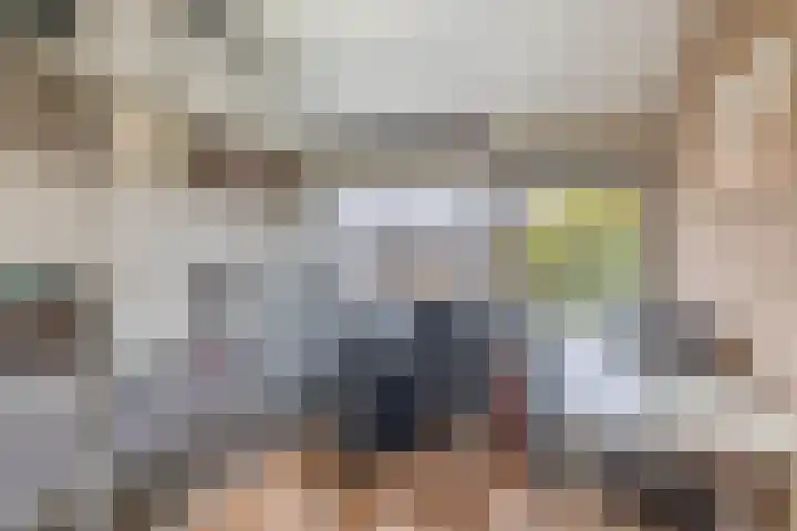 van der Duyn Van Maasdamstraat 16 Veghel thumbnail 25