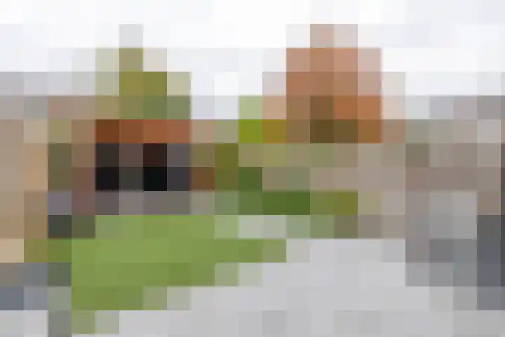 van der Duyn Van Maasdamstraat 16 Veghel thumbnail 26