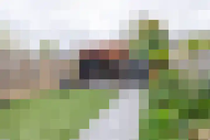 van der Duyn Van Maasdamstraat 16 Veghel thumbnail 27