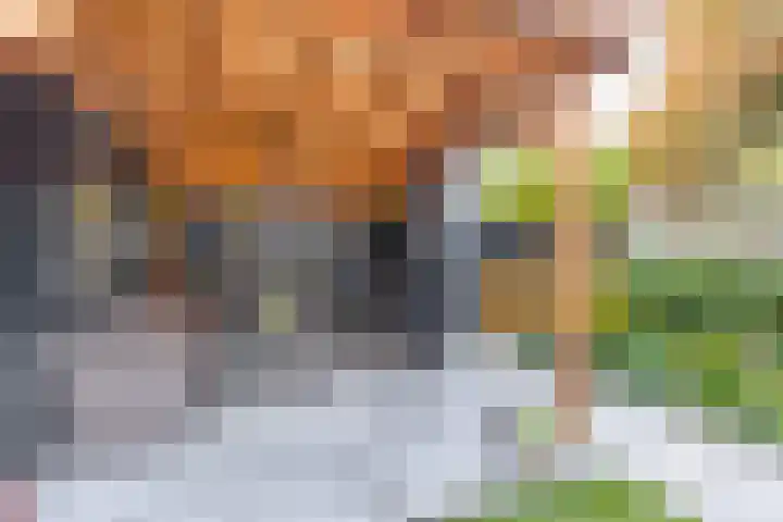 van der Duyn Van Maasdamstraat 16 Veghel thumbnail 29