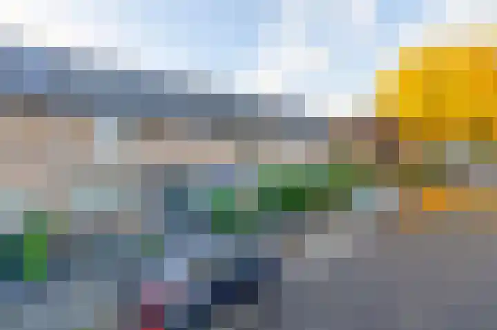van der Duyn Van Maasdamstraat 16 Veghel thumbnail 32