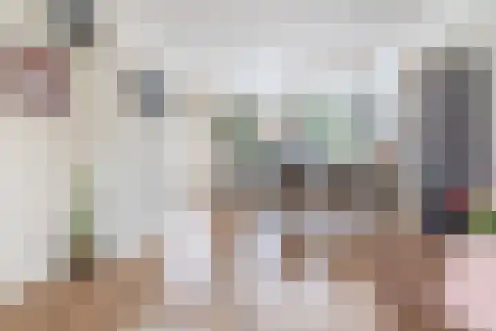 van der Duyn Van Maasdamstraat 16 Veghel thumbnail 6