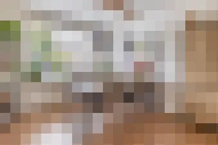 van der Duyn Van Maasdamstraat 16 Veghel thumbnail 7