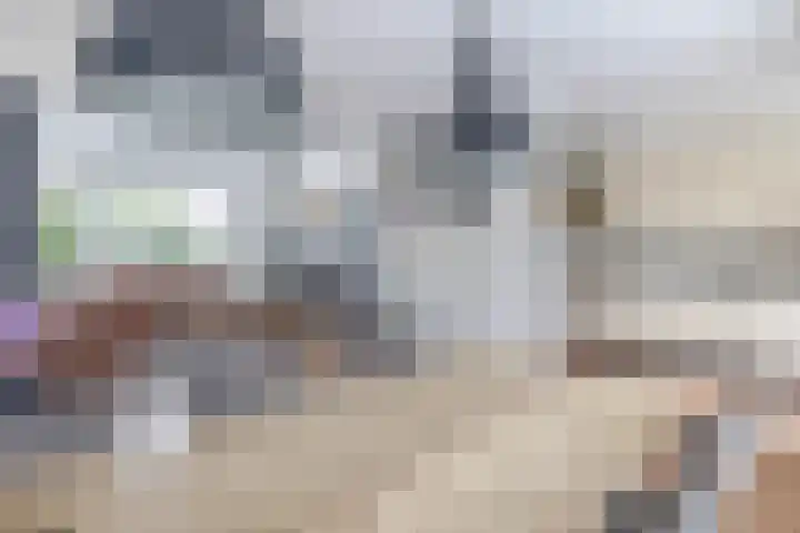 van der Duyn Van Maasdamstraat 16 Veghel thumbnail 8