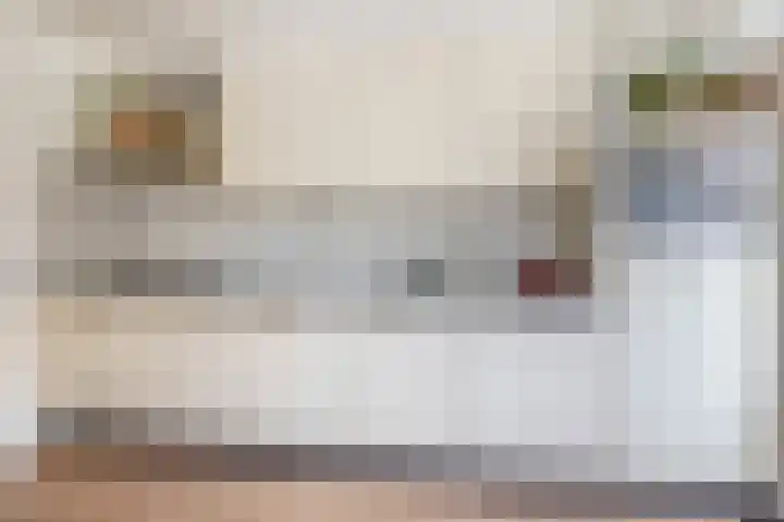 van der Duyn Van Maasdamstraat 16 Veghel thumbnail 9