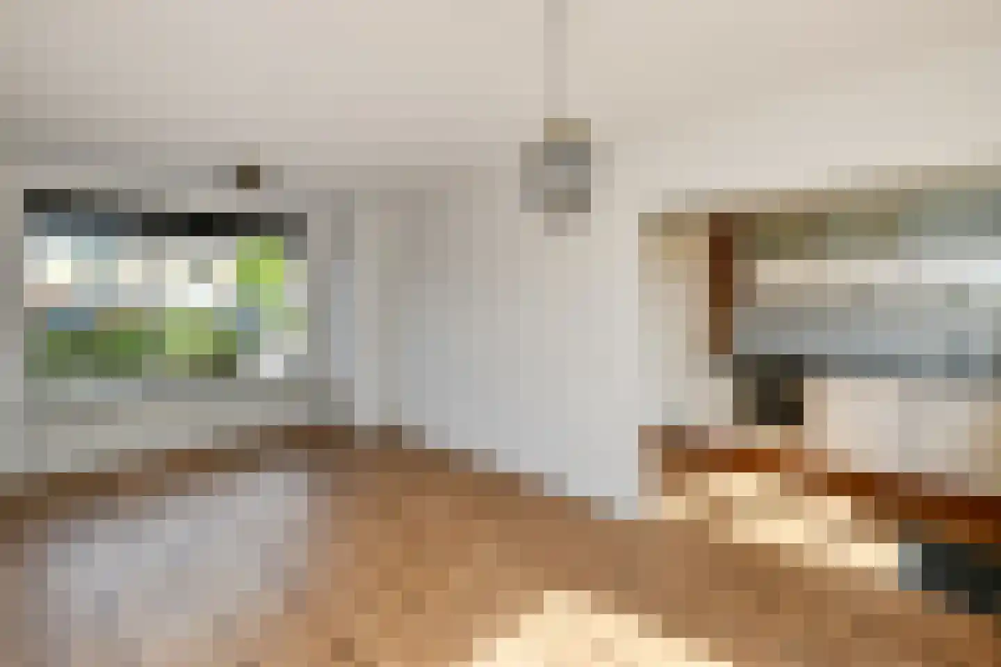Van der Duyn van Maasdamstraat 19 Elst thumbnail 5