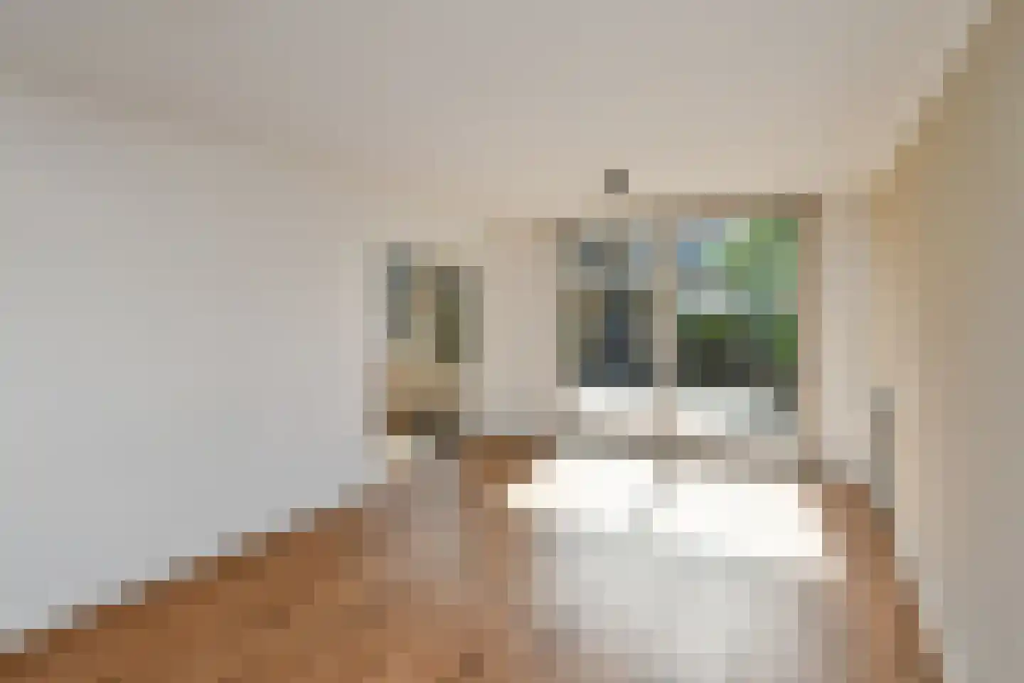 Van der Duyn van Maasdamstraat 19 Elst thumbnail 6