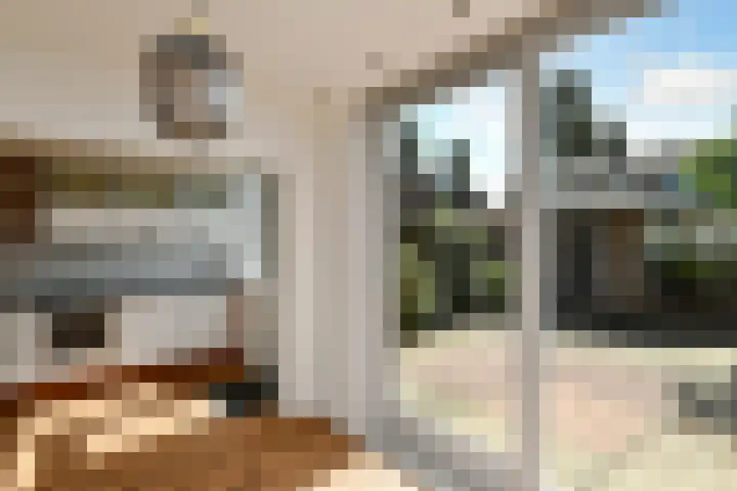 Van der Duyn van Maasdamstraat 19 Elst thumbnail 8