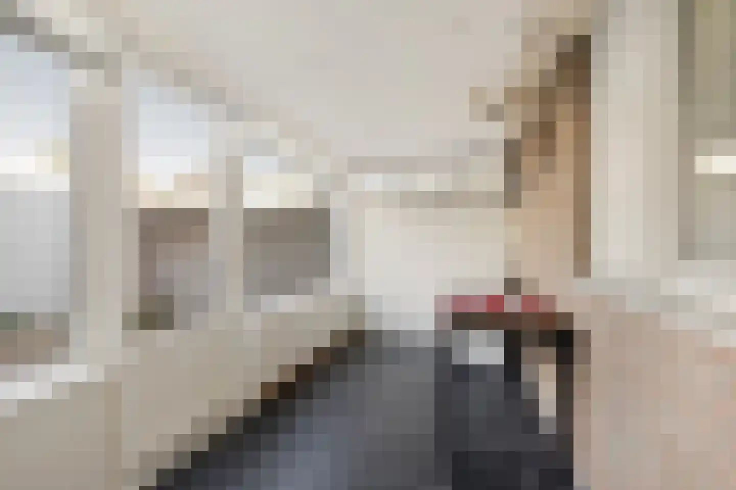 Van der Duyn van Maasdamstraat 2 Haarlem thumbnail 10