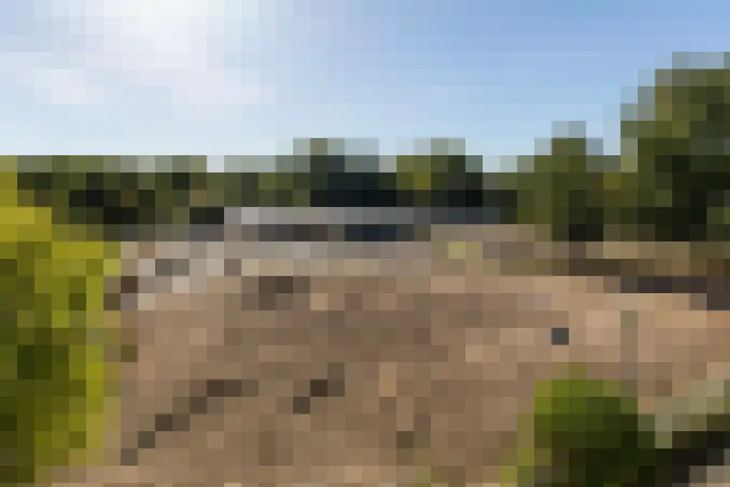 Van der Duyn van Maasdamstraat 2 Haarlem thumbnail 21