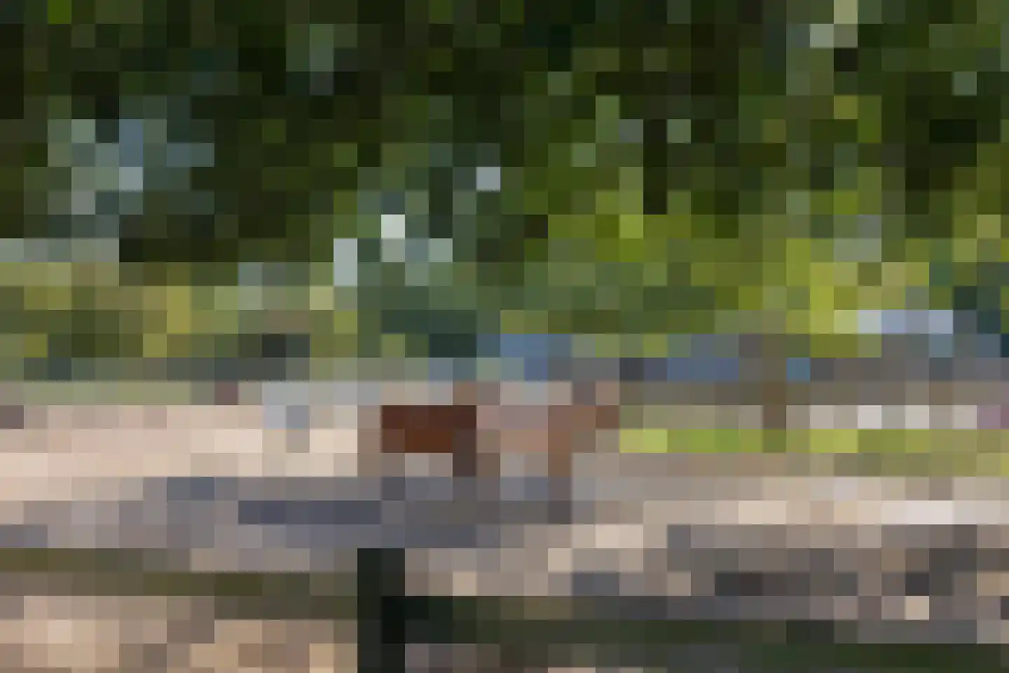 Van der Duyn van Maasdamstraat 2 Haarlem thumbnail 32