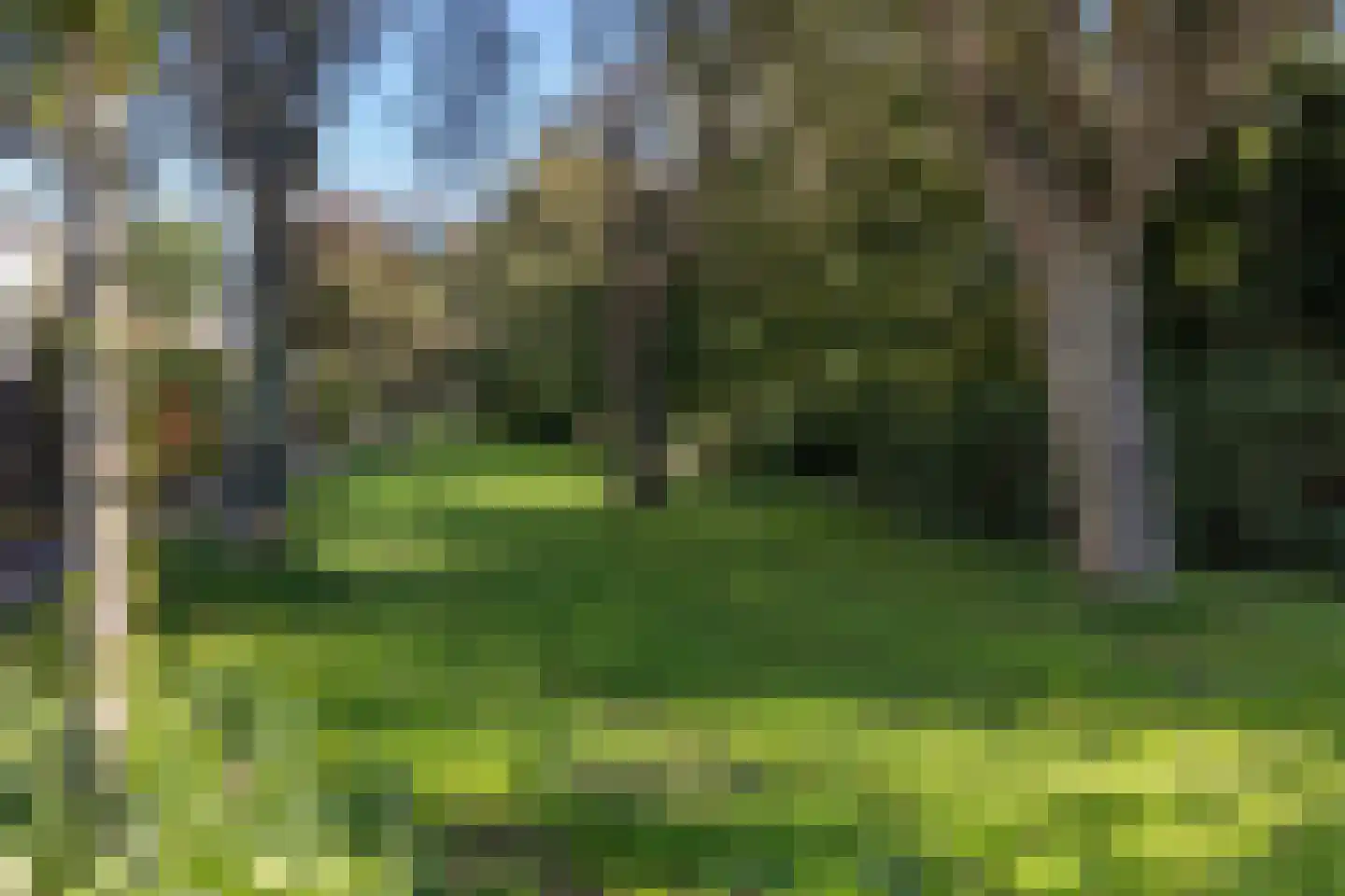 Van der Duyn van Maasdamstraat 2 Haarlem thumbnail 35