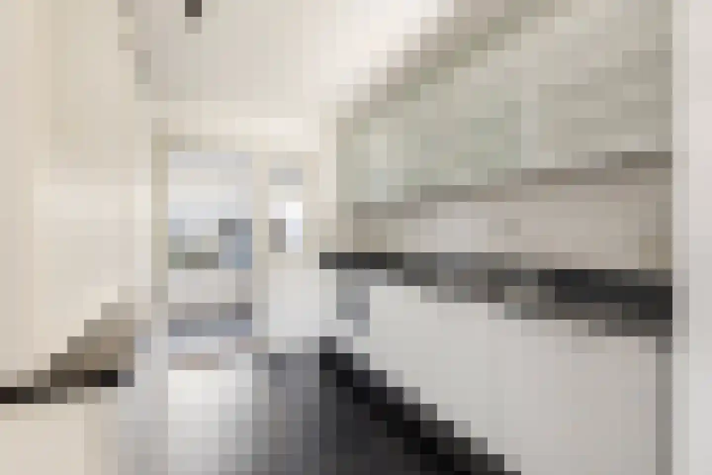Van der Duyn van Maasdamstraat 2 Haarlem thumbnail 8
